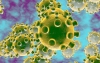 WHO ban bố tình trạng khẩn cấp toàn cầu vì virus corona